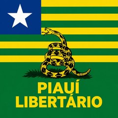 Bandeira do Piauí com serpente enrolada